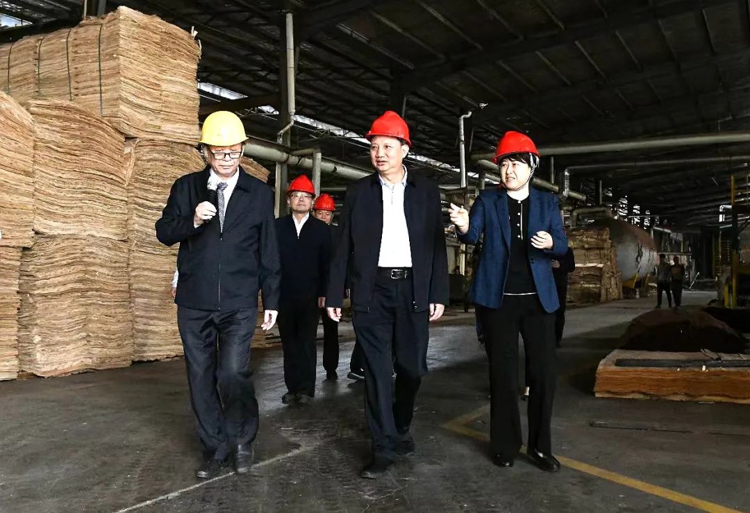 市人大常委会领导赴永安调研竹木产业链工作