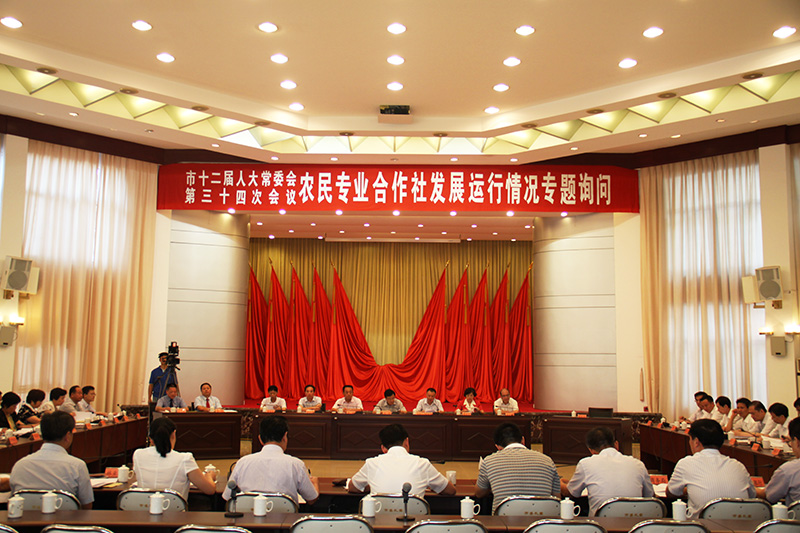 询问会现场