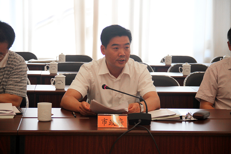 市政府副市长肖华鑫应询